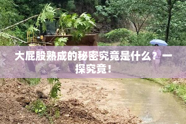 大屁股熟成的秘密究竟是什么？一探究竟！