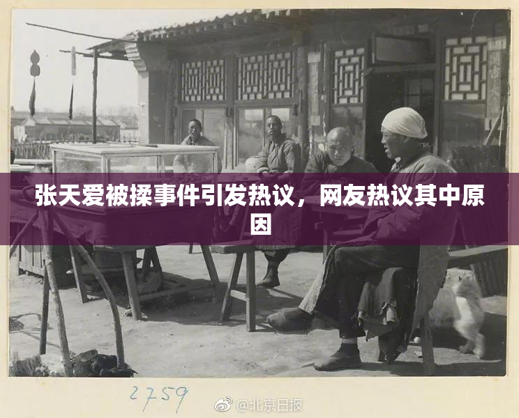 张天爱被揉事件引发热议，网友热议其中原因