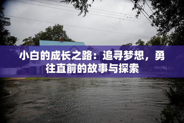 小白的成长之路：追寻梦想，勇往直前的故事与探索