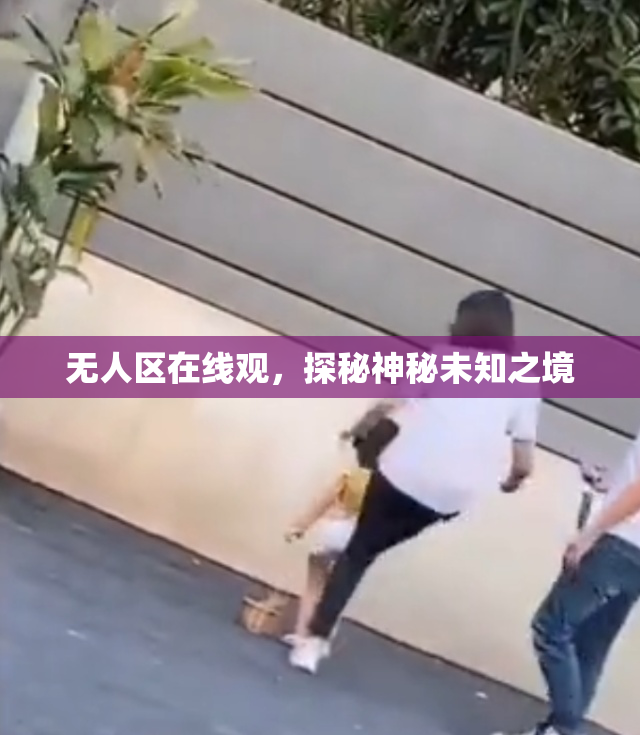 无人区在线观，探秘神秘未知之境