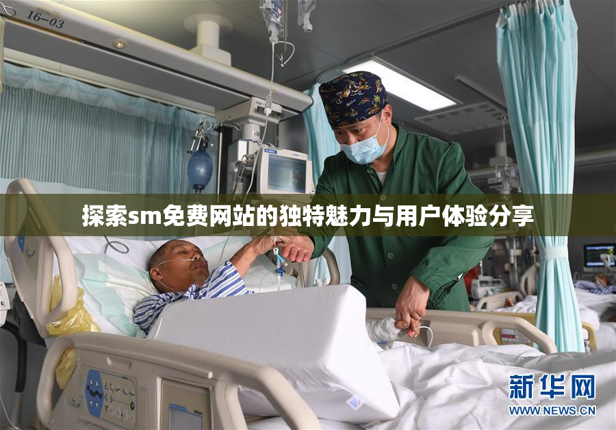 探索sm免费网站的独特魅力与用户体验分享
