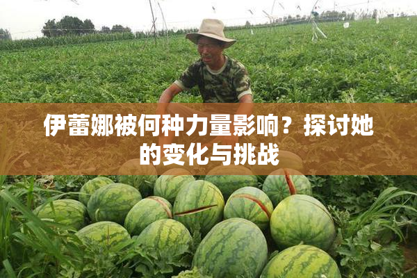 伊蕾娜被何种力量影响？探讨她的变化与挑战