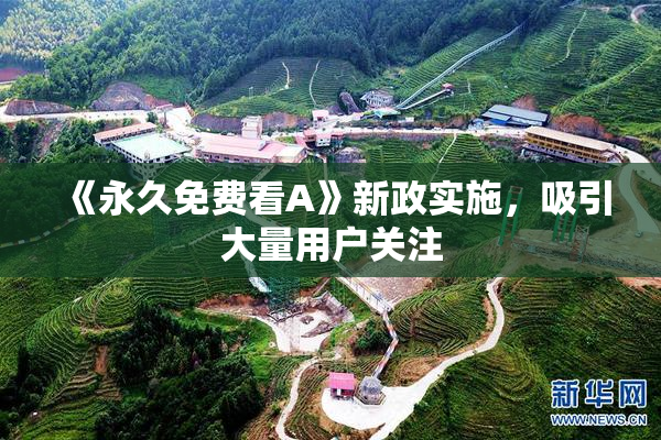 《永久免费看A》新政实施，吸引大量用户关注