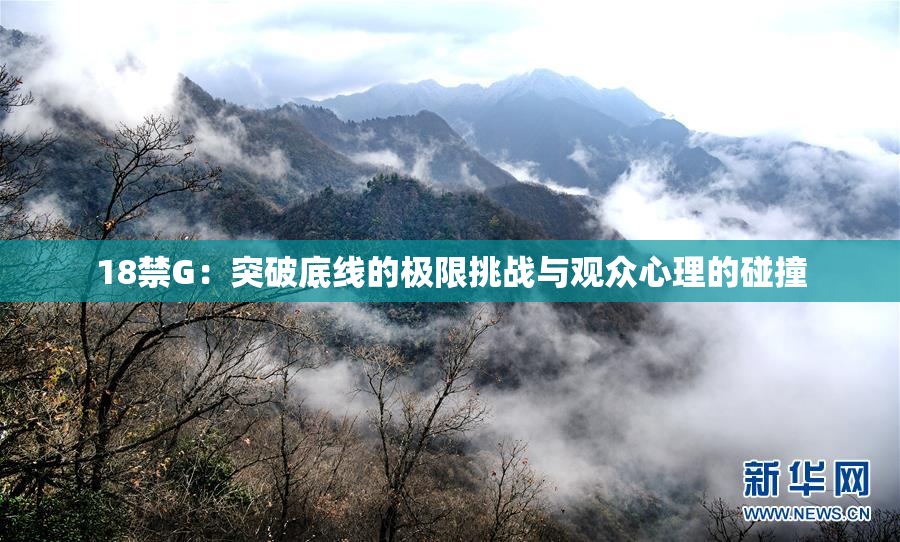 18禁G：突破底线的极限挑战与观众心理的碰撞