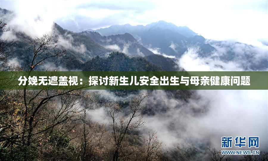 分娩无遮盖视：探讨新生儿安全出生与母亲健康问题