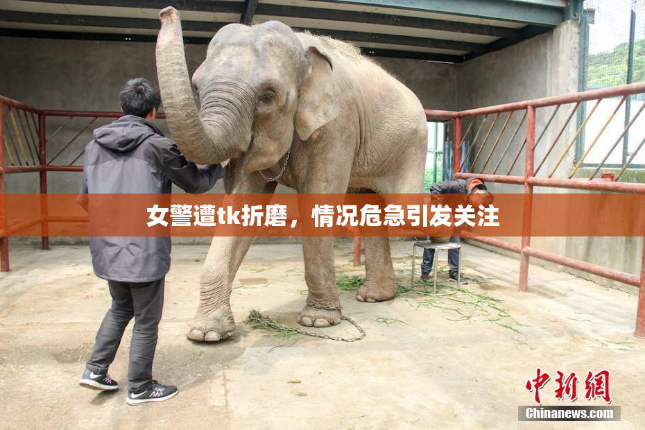 女警遭tk折磨，情况危急引发关注