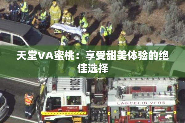 天堂VA蜜桃：享受甜美体验的绝佳选择