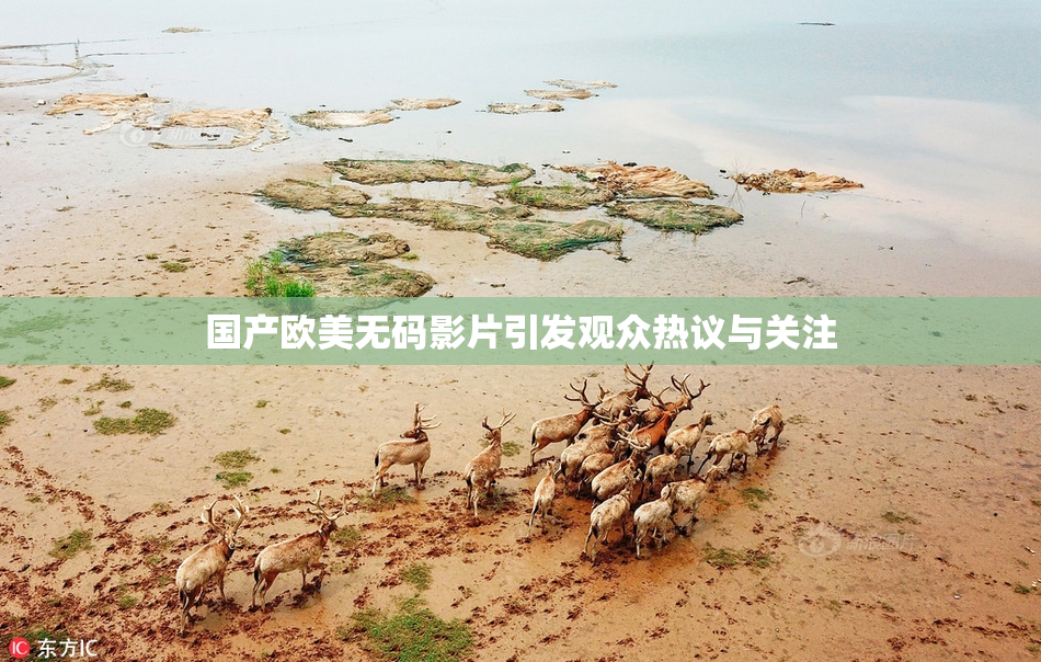 国产欧美无码影片引发观众热议与关注