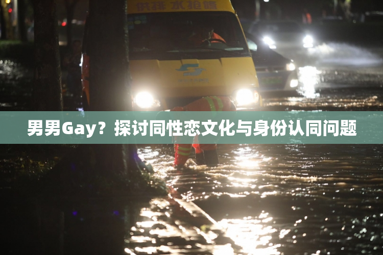 男男Gay？探讨同性恋文化与身份认同问题
