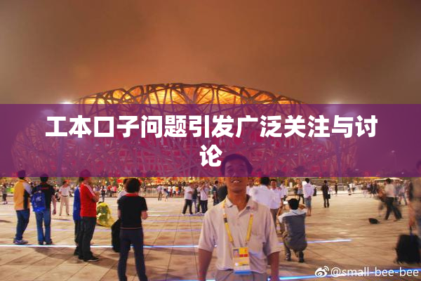 工本口子问题引发广泛关注与讨论