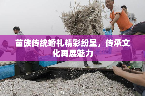 苗族传统婚礼精彩纷呈，传承文化再展魅力