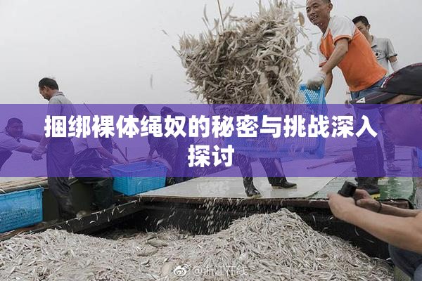 捆绑裸体绳奴的秘密与挑战深入探讨