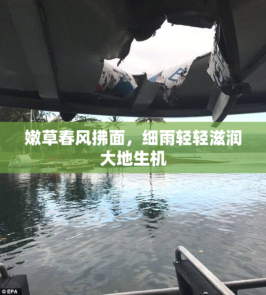 嫩草春风拂面，细雨轻轻滋润大地生机