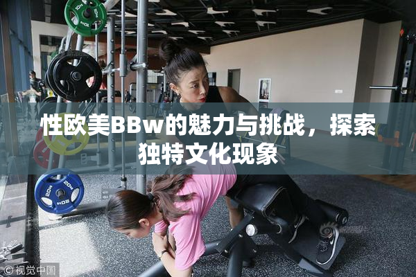 性欧美BBw的魅力与挑战，探索独特文化现象