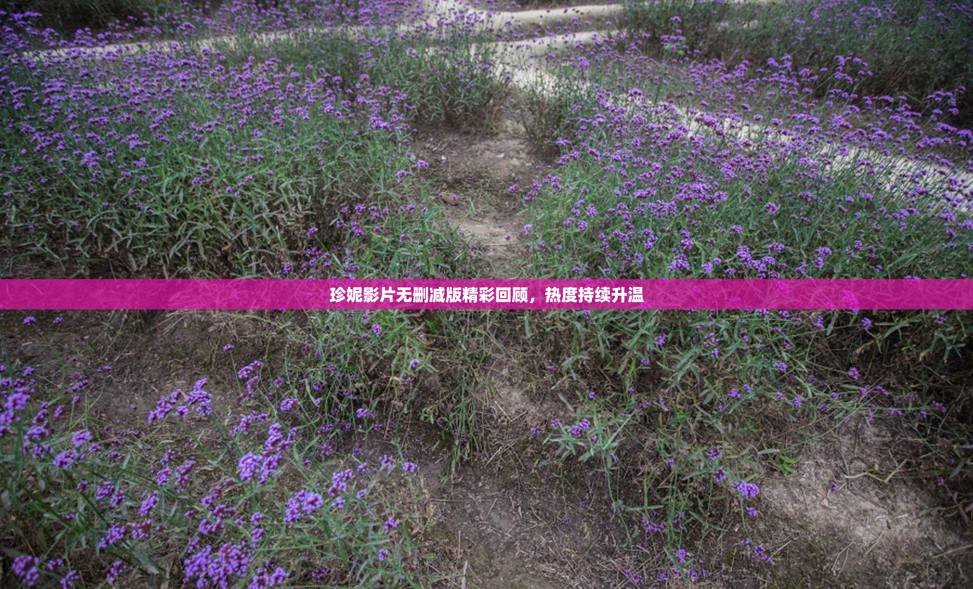 珍妮影片无删减版精彩回顾，热度持续升温