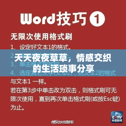 天天夜夜草草，情感交织的生活琐事分享