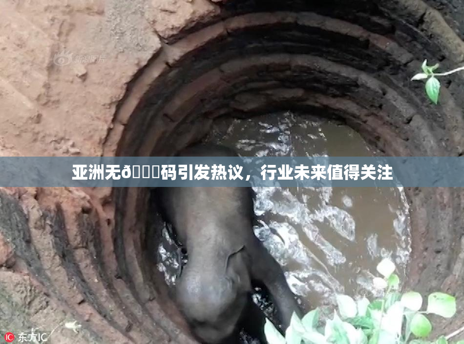 亚洲无🈚码引发热议，行业未来值得关注