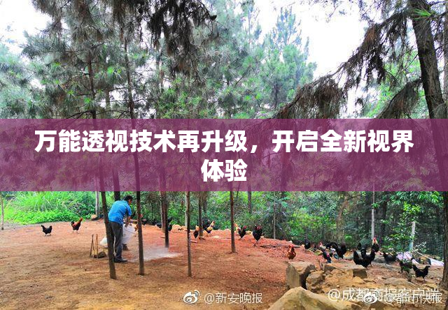 万能透视技术再升级，开启全新视界体验