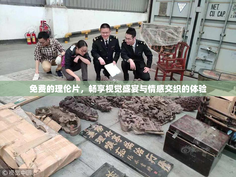 免费的理伦片，畅享视觉盛宴与情感交织的体验