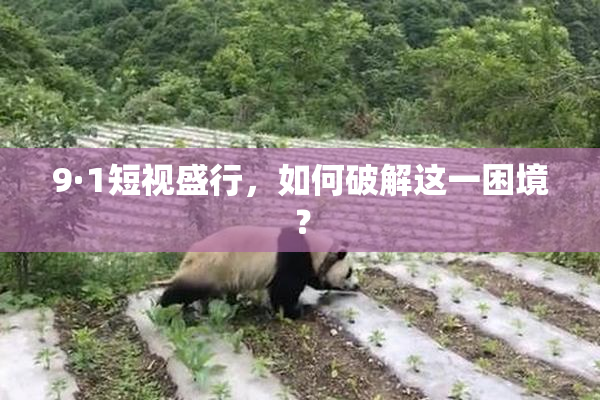 9·1短视盛行，如何破解这一困境？