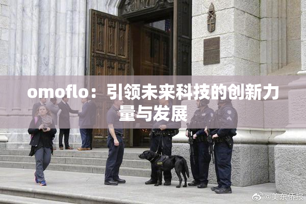 omoflo：引领未来科技的创新力量与发展