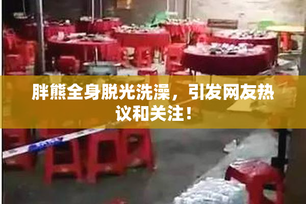胖熊全身脱光洗澡，引发网友热议和关注！