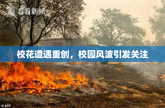 校花遭遇重创，校园风波引发关注