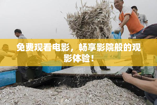 免费观看电影，畅享影院般的观影体验！