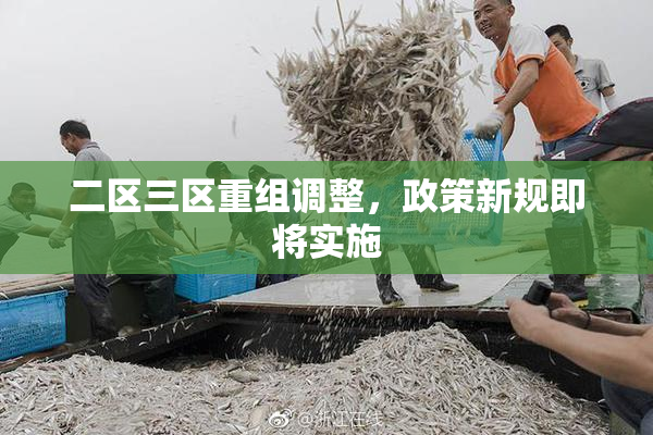 二区三区重组调整，政策新规即将实施