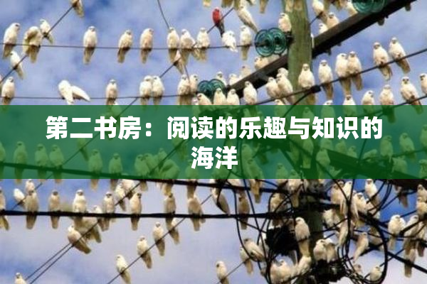 第二书房：阅读的乐趣与知识的海洋