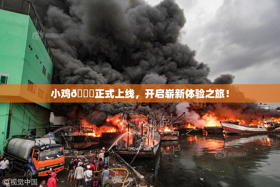 小鸡🐔正式上线，开启崭新体验之旅！