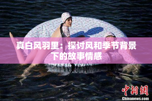 真白风羽里：探讨风和季节背景下的故事情感