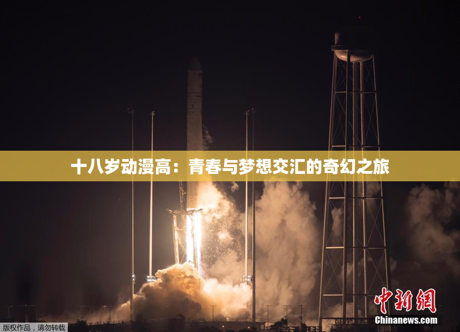 十八岁动漫高：青春与梦想交汇的奇幻之旅
