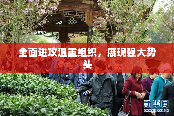 全面进攻温重组织，展现强大势头