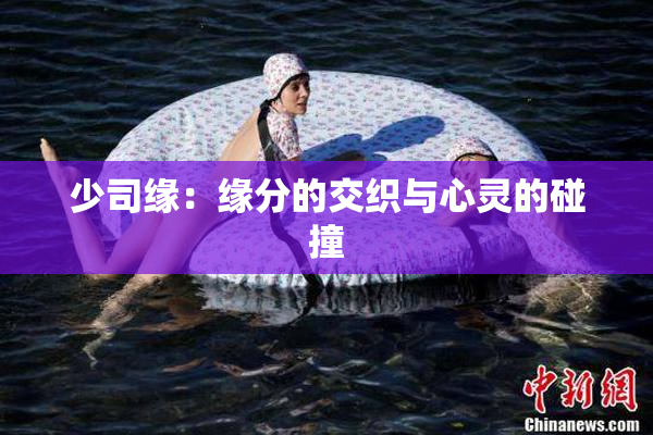 少司缘：缘分的交织与心灵的碰撞