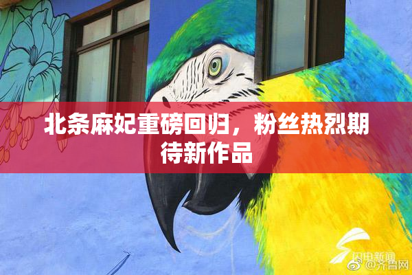 北条麻妃重磅回归，粉丝热烈期待新作品