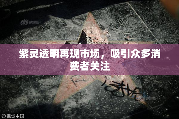 紫灵透明再现市场，吸引众多消费者关注