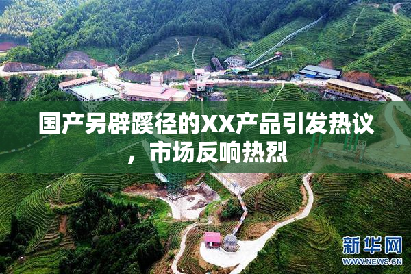 国产另辟蹊径的XX产品引发热议，市场反响热烈