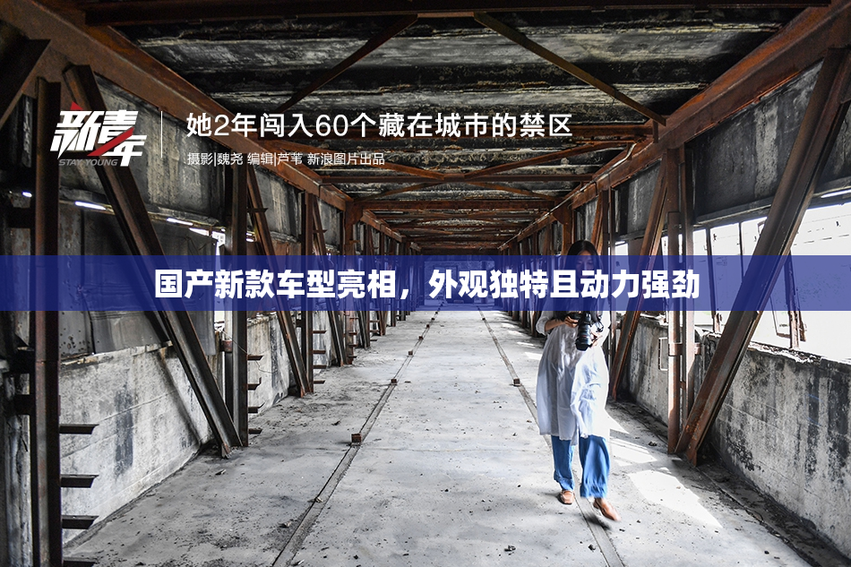 国产新款车型亮相，外观独特且动力强劲