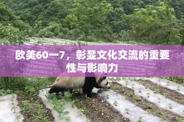 欧美60一7，彰显文化交流的重要性与影响力