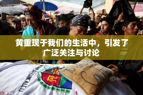 黄重现于我们的生活中，引发了广泛关注与讨论