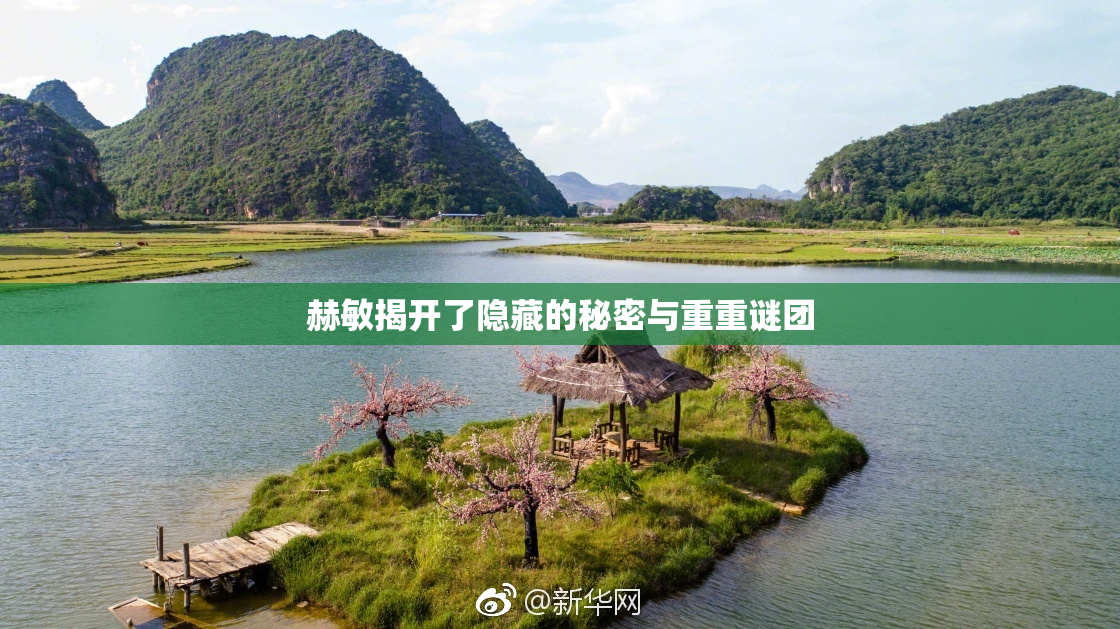 赫敏揭开了隐藏的秘密与重重谜团