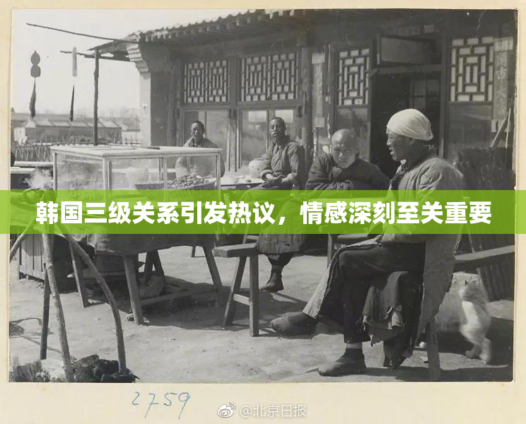 韩国三级关系引发热议，情感深刻至关重要