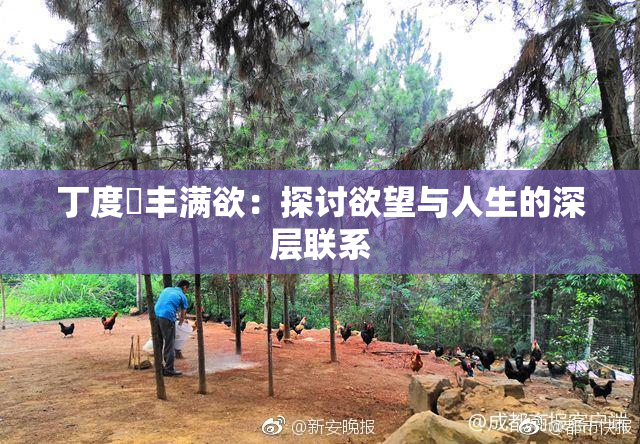 丁度巜丰满欲：探讨欲望与人生的深层联系