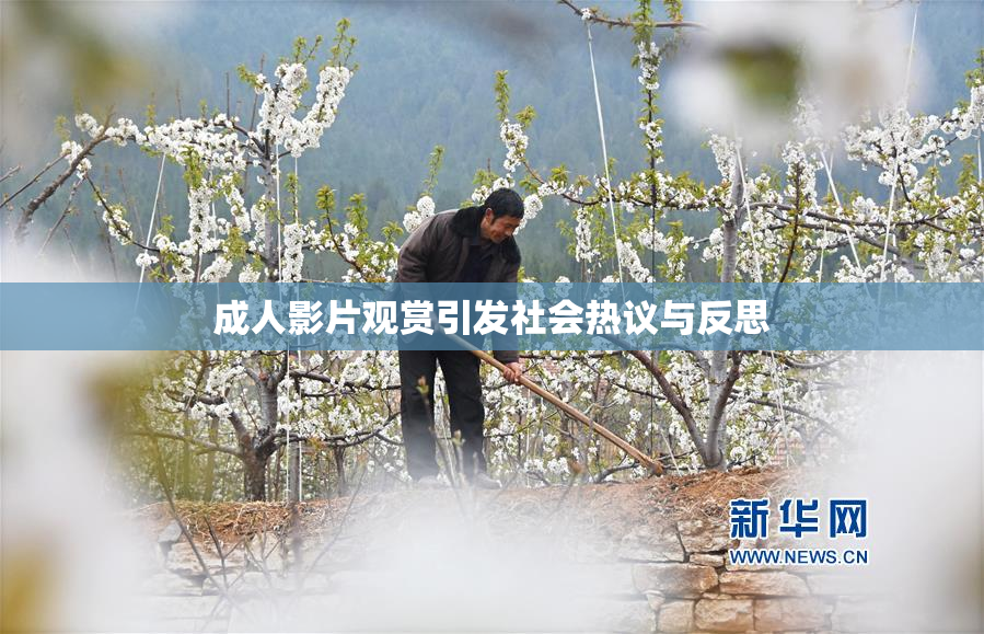 成人影片观赏引发社会热议与反思