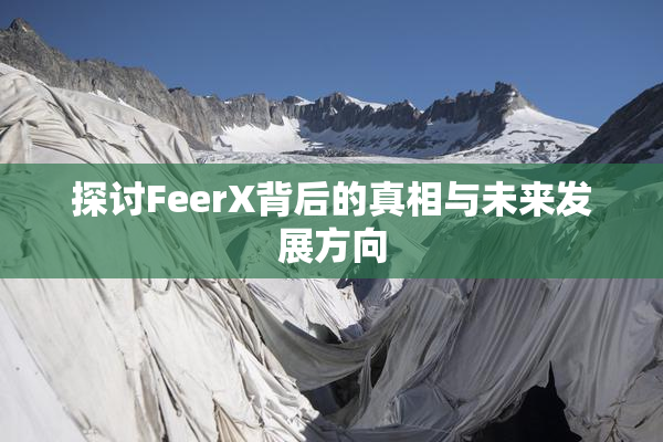 探讨FeerX背后的真相与未来发展方向