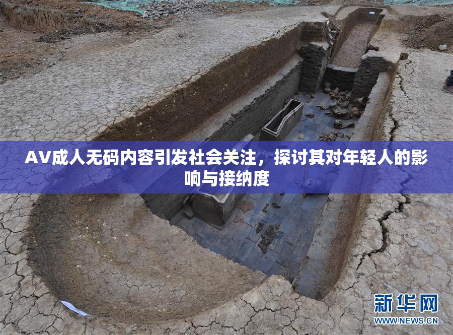 AV成人无码内容引发社会关注，探讨其对年轻人的影响与接纳度
