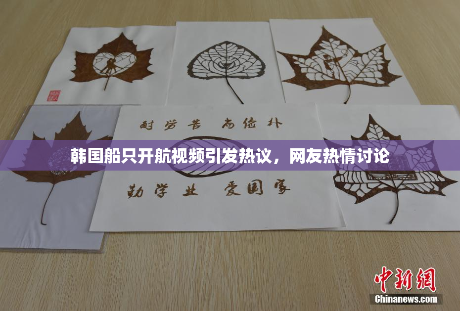 韩国船只开航视频引发热议，网友热情讨论