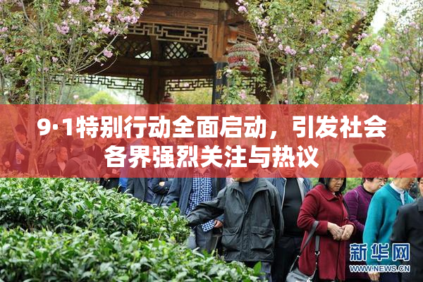 9·1特别行动全面启动，引发社会各界强烈关注与热议