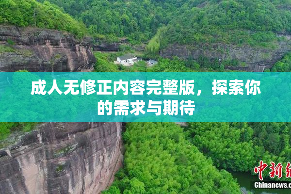成人无修正内容完整版，探索你的需求与期待